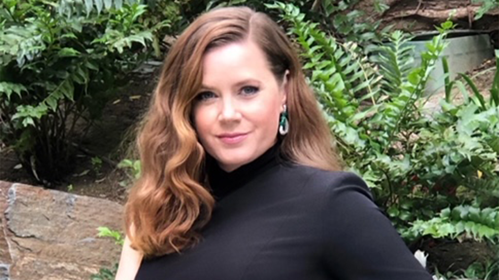 Amy Adams Amy Lou Adams (born August 20, 1974) is an American actress. Noted for both comedic and dramatic roles, she has featured three times in annual ra...